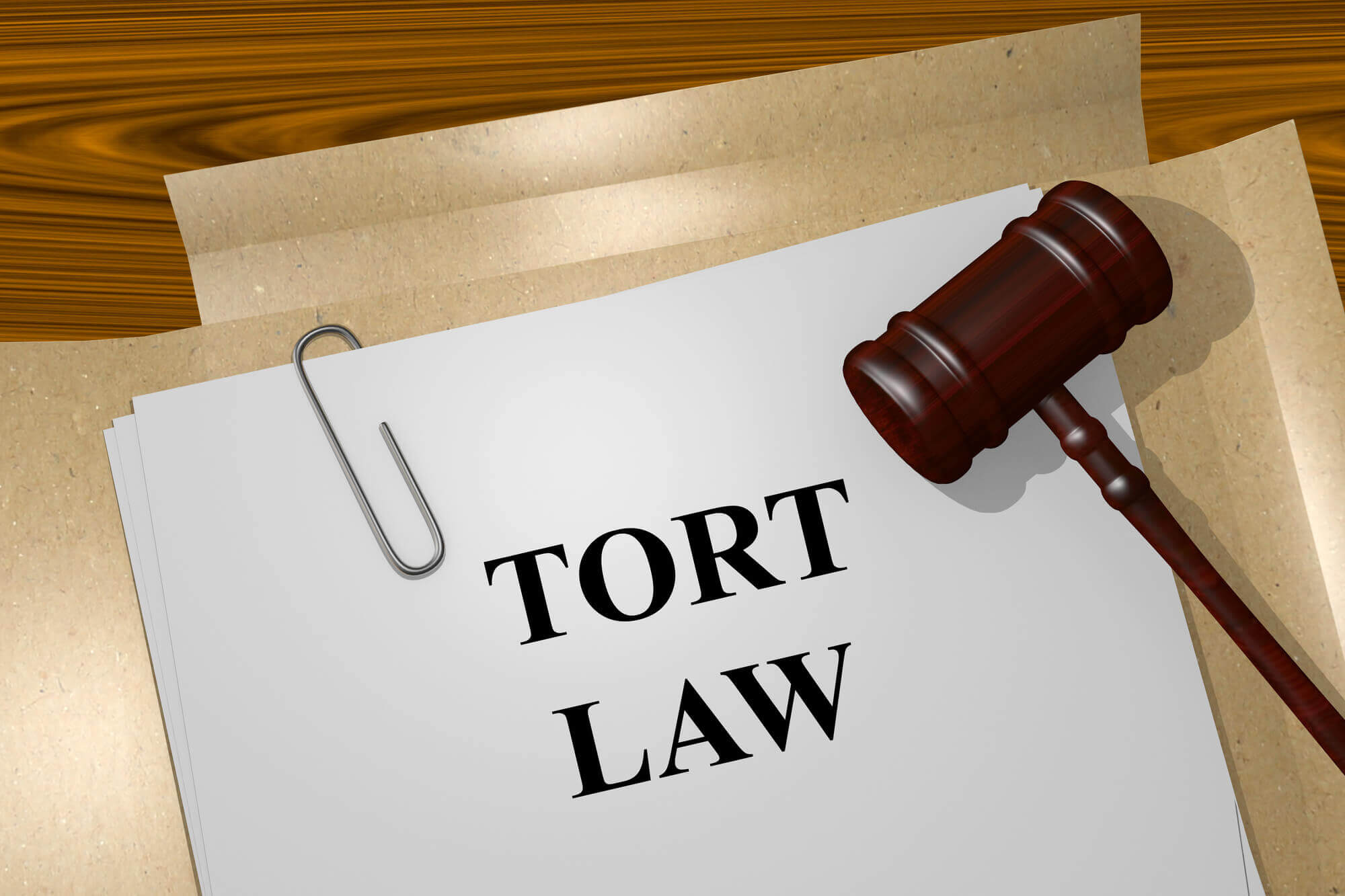 tort law document